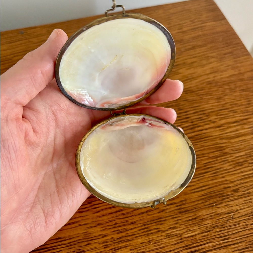 Vintage Shell Compact